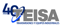 Teisa México Logo